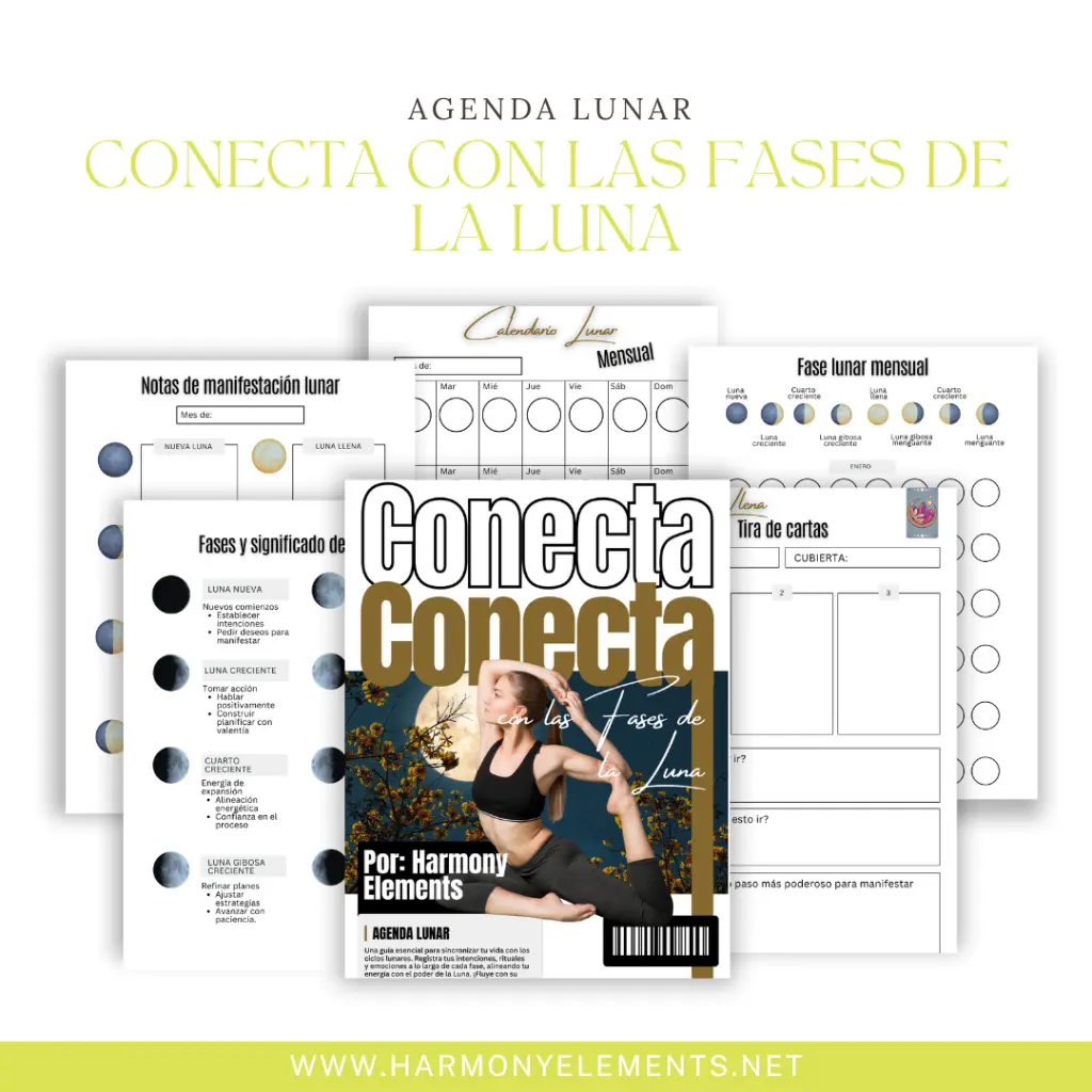 conecta con las fases de la luna