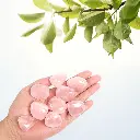 6 (6).webp