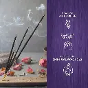 71j0qS8SC9L._AC_SX679_.webp